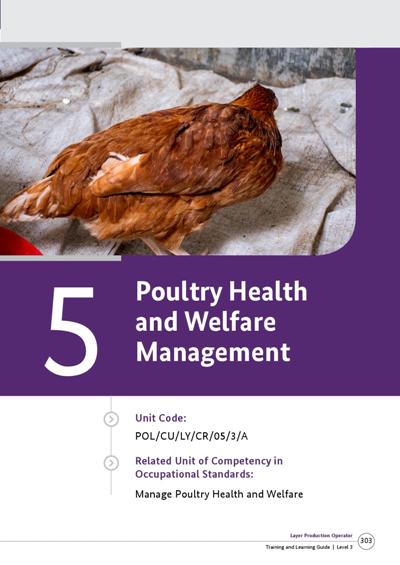 Poultry Health and Welfare Management