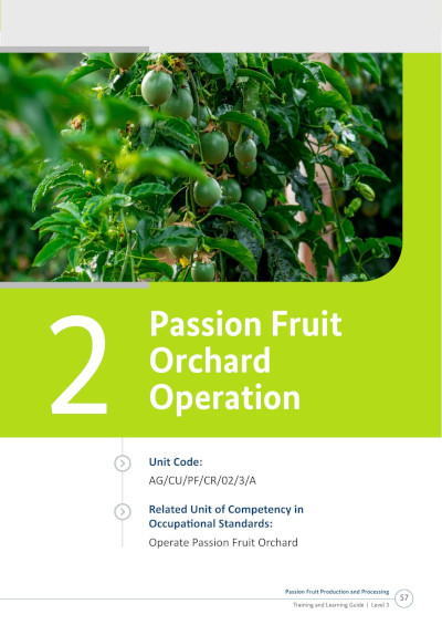 Passion Fruit Orchard Operation copy 1